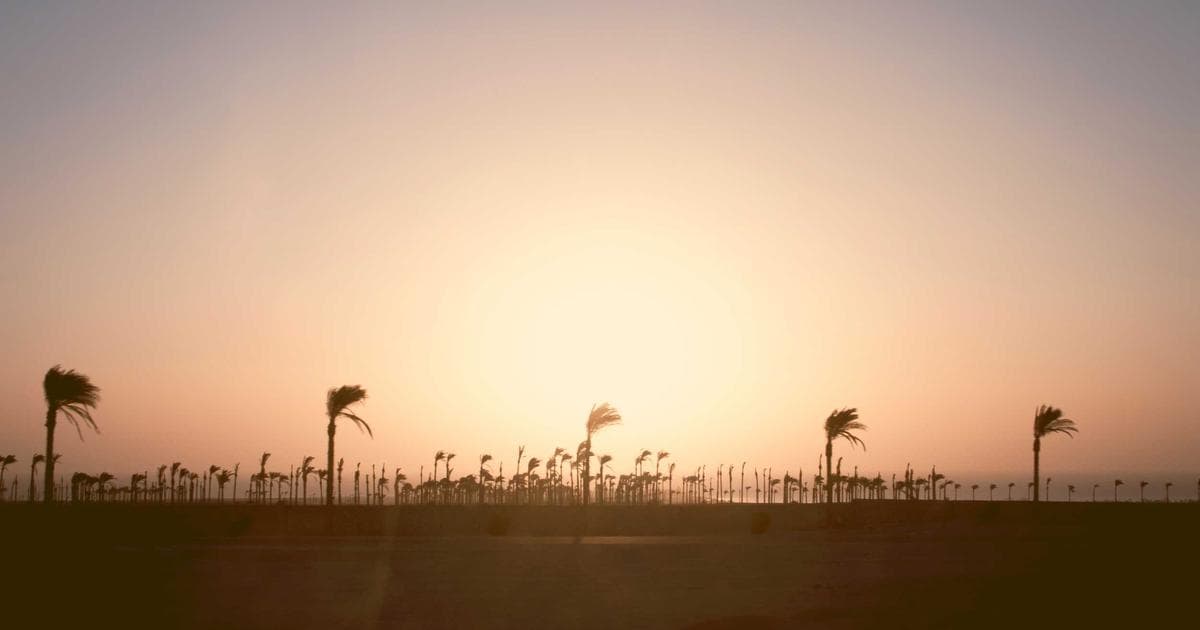 4 Big Summer Challenges and How HR Can Manage Them