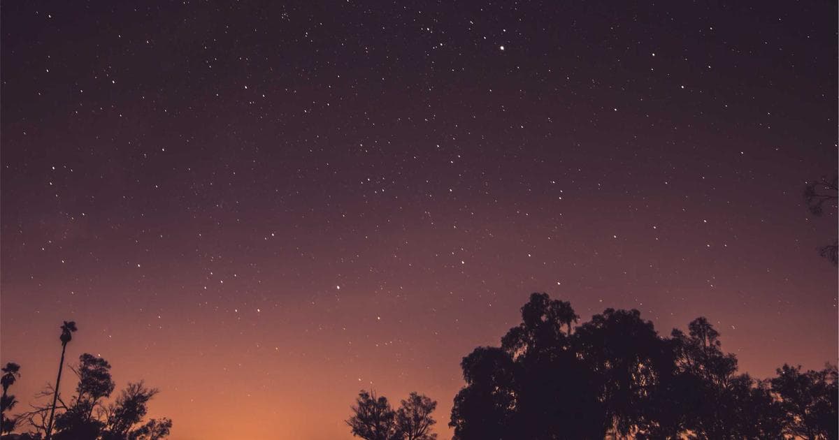 Anthropic's President Daniela Amodei Weighs In on the Tokenmaxxing Debate