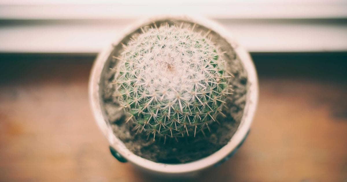 Before the Breakdown: How to Spot Burnout Before It Becomes a Crisis