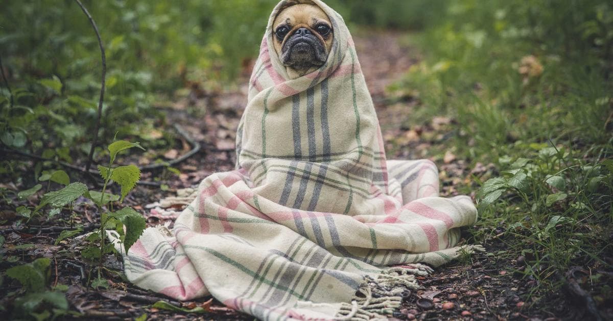 Burnout Isn't Just a Wellbeing Issue — It's a Tribunal Waiting to Happen