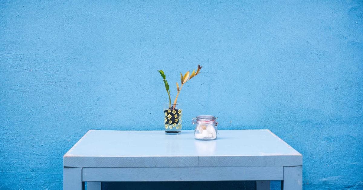 I Always Stay in Luxury Hotels — But My Sister Convinced Me to Try Adult Summer Camp, and It Changed Everything