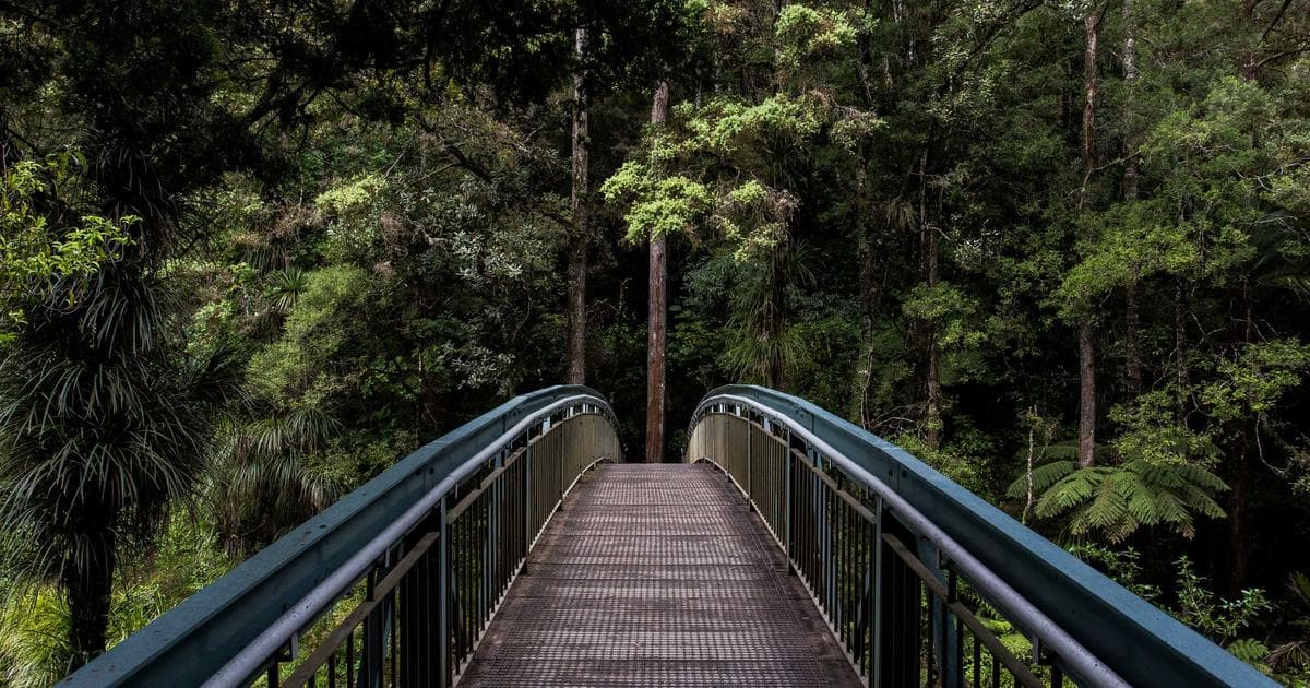 Mental Health vs. Career: When to Walk Away from Your Job