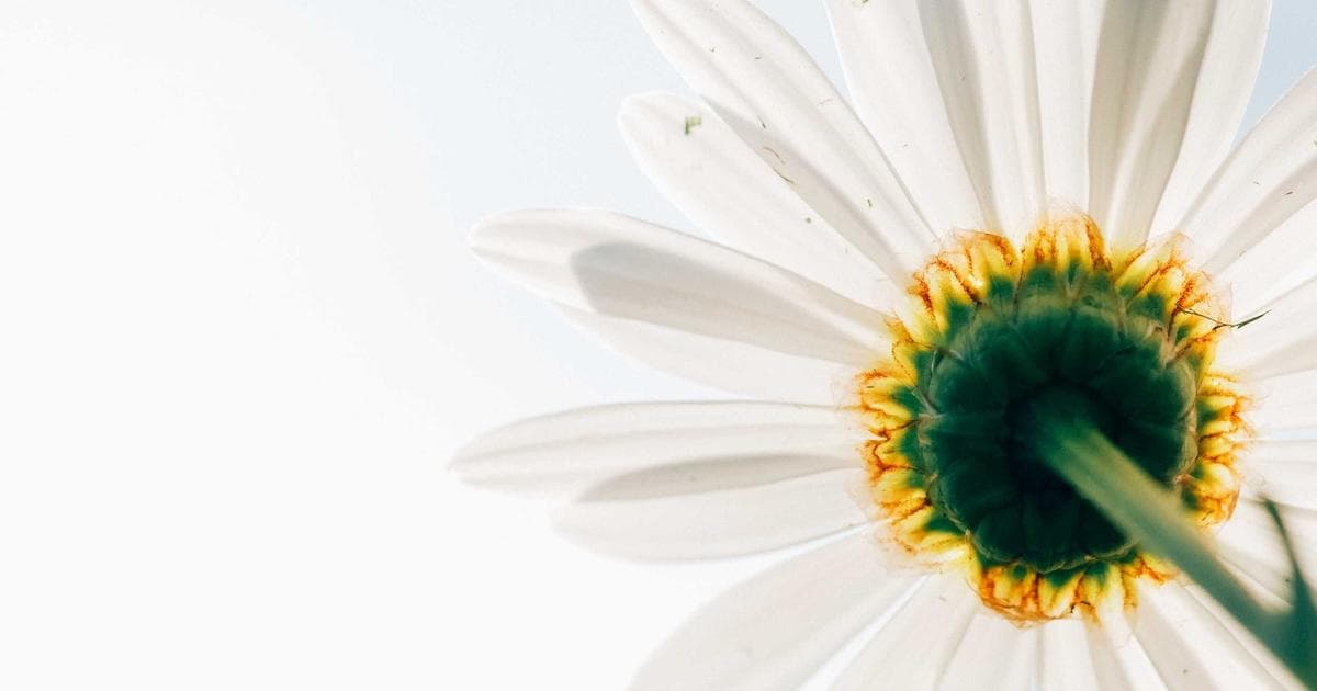 Setting Healthy Boundaries: 8 Steps to Communicate What You Want