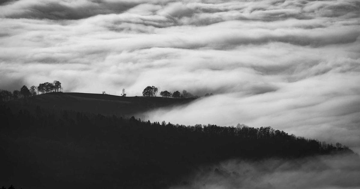 When Your Team Uses AI at Work: A Manager's Guide to Adapting Without Losing Quality