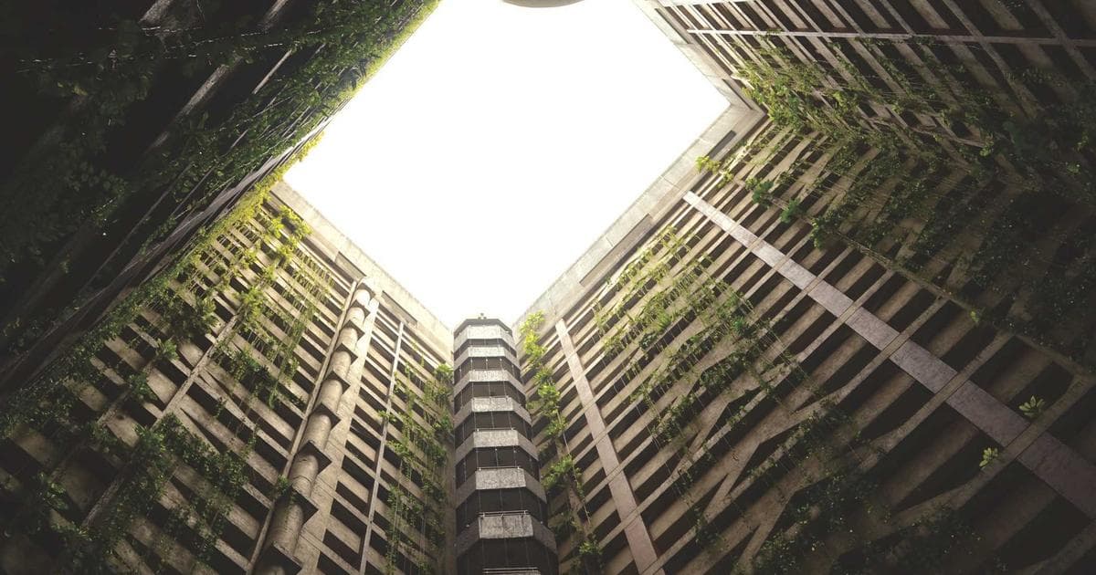 The Miracle of Capitalism, With Silicon Valley Characteristics
