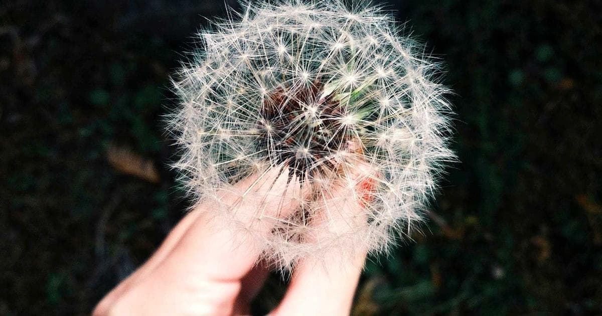 Your Engagement Survey Told You the Score. Now What?