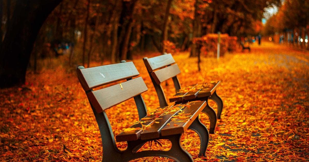 Workplace Updates: Unwanted Hugs, Remote Work Wins, and Life After the Office