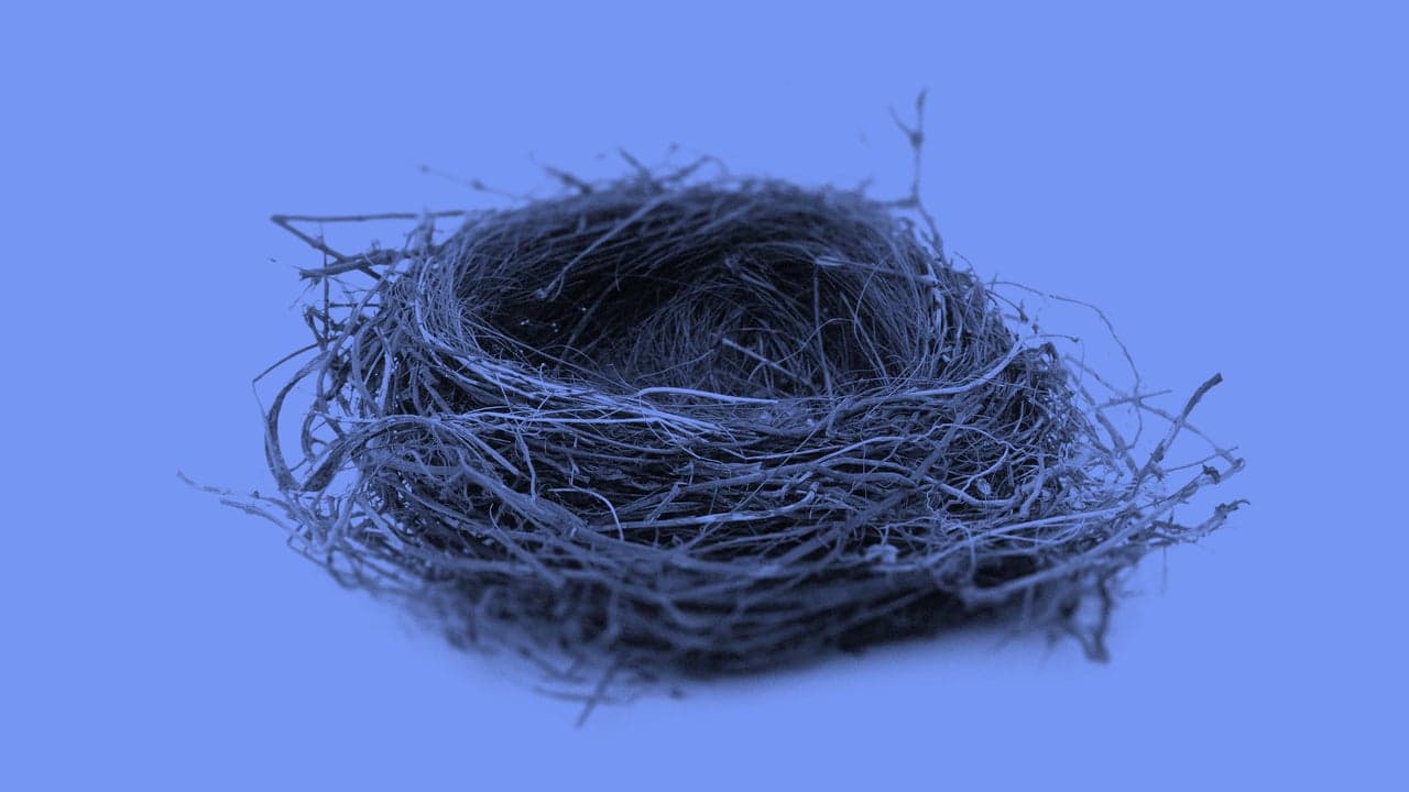 From Empty Nest to New Beginnings: How to Rediscover Your Purpose After the Kids Leave